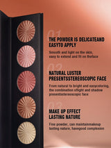 SHEIN Highlighter Powder Palette, Long-Lasting