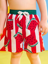 SHEIN Toddler Boys Striped Watermelon Print Swim Shorts