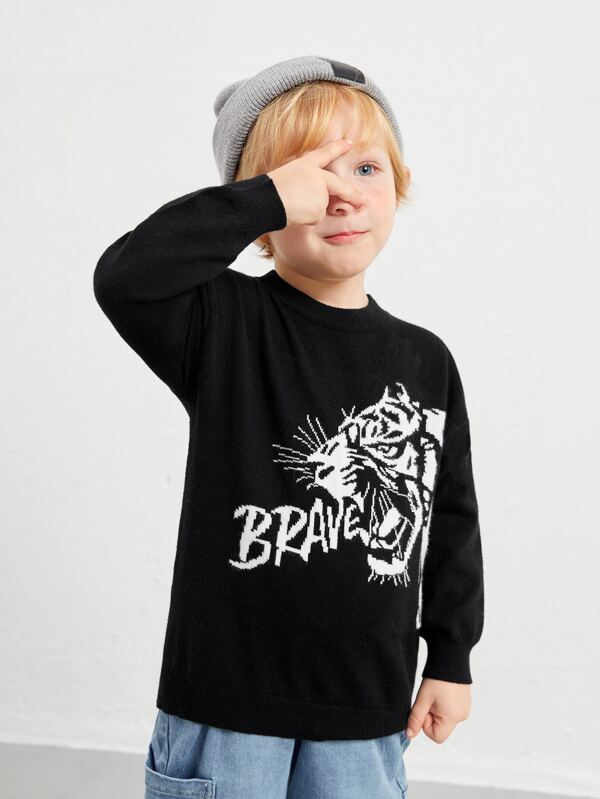 SHEIN Toddler Boys Tiger & Letter Pattern Sweater