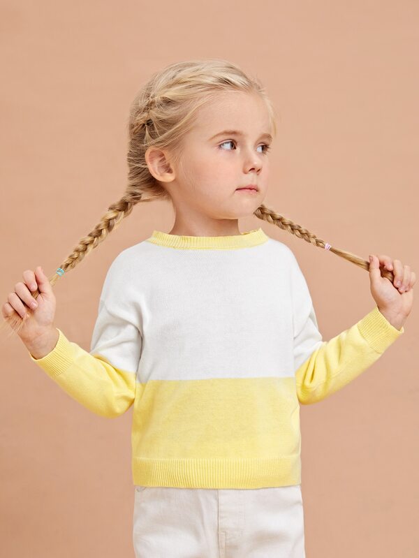 SHEIN Toddler Girls Colorblock Sweater