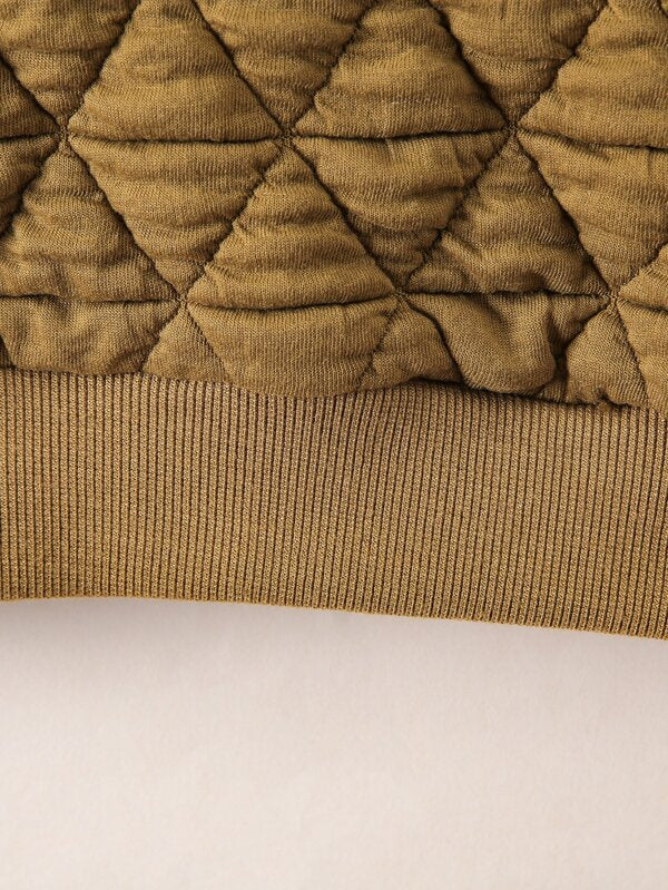 Shein Toddler Boy Letter Graphic Quilted Sweatshirt