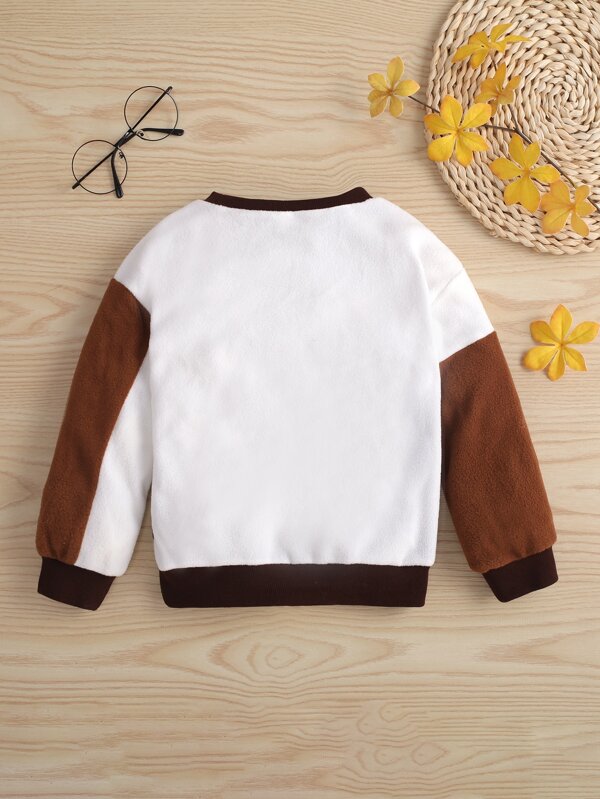 Shein  Toddler Boys Color Block Letter &amp Tiger Embroidery Fleece  Pullover