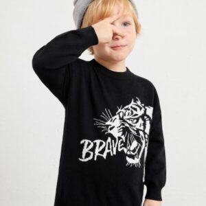 SHEIN Toddler Boys Tiger & Letter Pattern Sweater