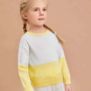 Alternative view of SHEIN Toddler Girls Colorblock Sweater