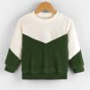 Shein Toddler Girls Colorblock Drop Shoulder Sweatshirt