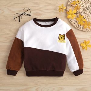 Shein Toddler Boys Color Block Letter & Tiger Embroidery Fleece Pullover