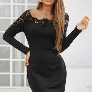 SHEIN Eyelash Lace Panel Bodycon Dress