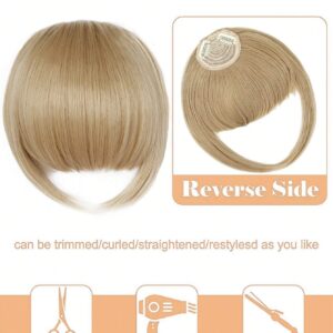 SHEIN nimoki Bangs Hair Clip in Bangs