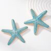 SHEIN 1 Pair Enameled Starfish Earrings